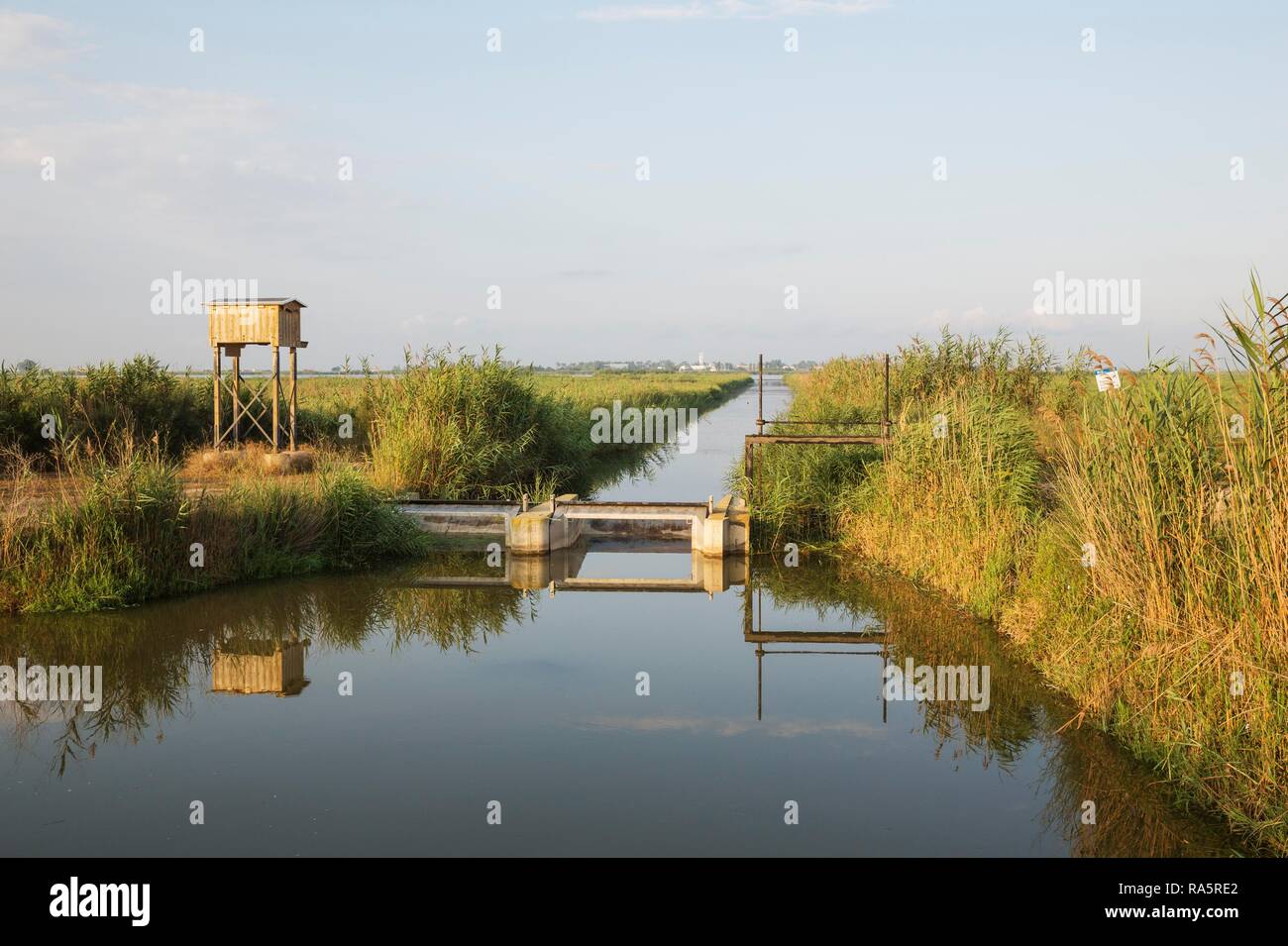 Typical landscape of the Ebro Delta with canals, lock-gate, reed and rice fields, on the left a box for bats, behind the village Stock Photo