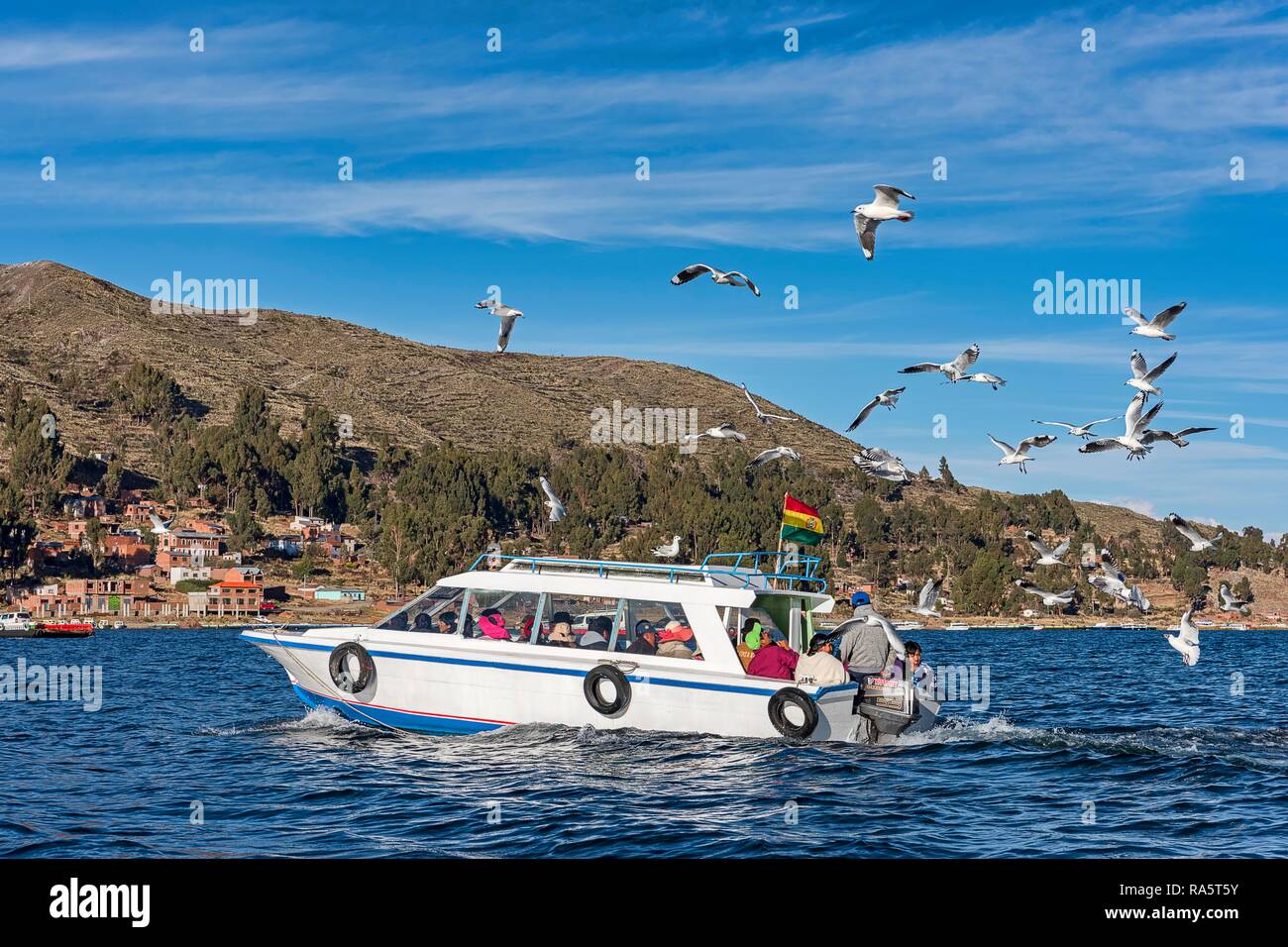 Boat with seagulls, Lake Titicaca, Bolivia Stock Photo