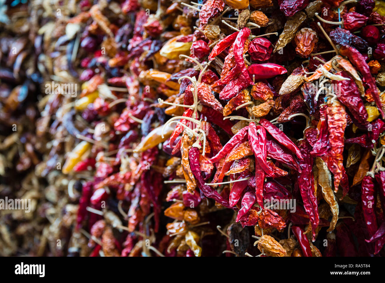 Hundreds of dry red hot chili peppers on the market Stock Photo - Alamy