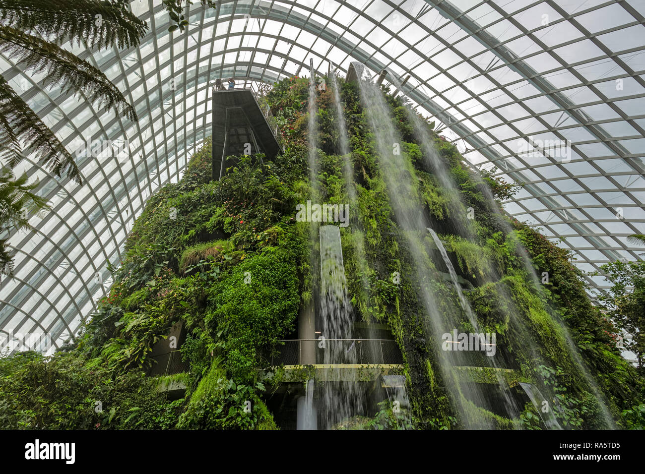 Cloudforest Dome in Gardens by the Bay - Singapore Stock Photo