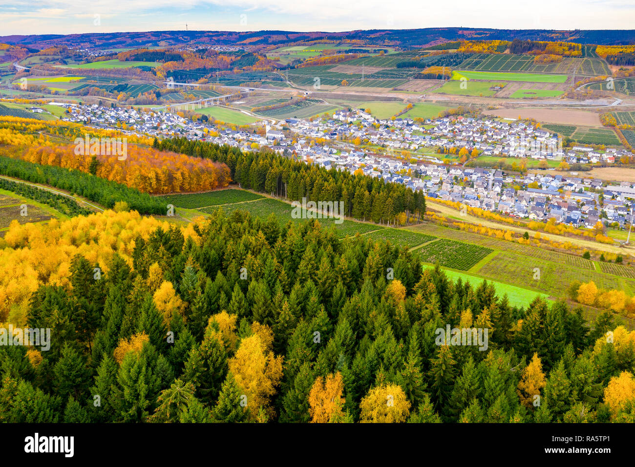 Autumn forest in Sauerland area, North Rhine-Westphalia,Germany, near Bestwig, Stock Photo