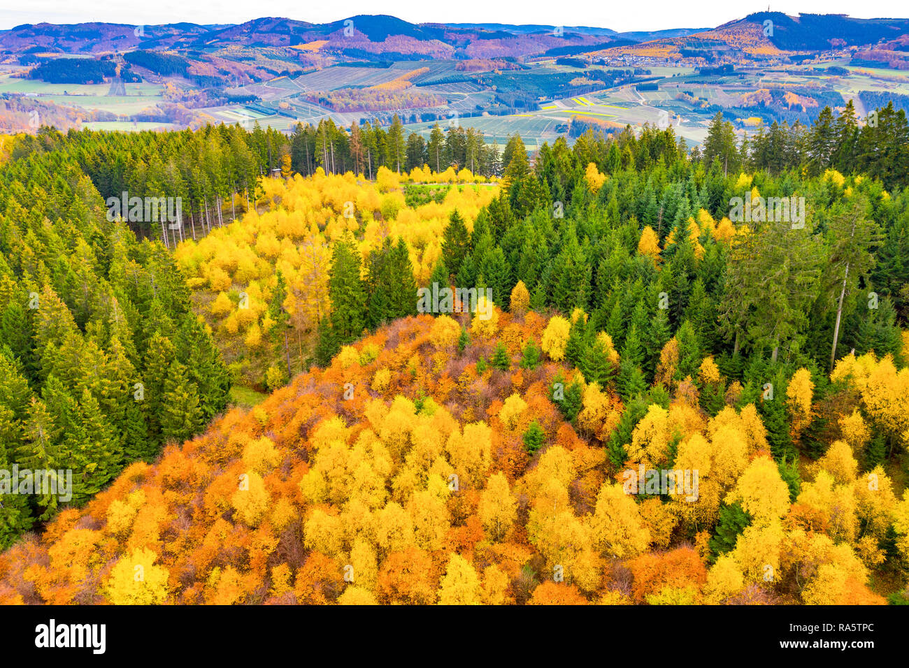 Autumn forest in Sauerland area, North Rhine-Westphalia,Germany, near Bestwig, Stock Photo