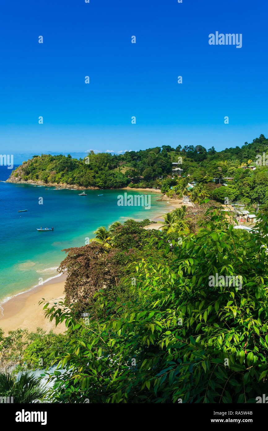 Castara is a small fishing village on the tropical island of Tobago in the Caribbean.  Often called the original Robinson Crusoe island. Vertical Stock Photo