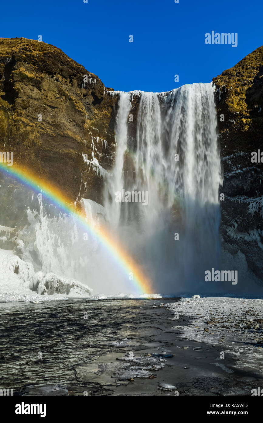 Skógafoss, a beautiful waterfall with a rainbow in the spray, along Skógá River and falling over former sea cliffs, along the South Coast of Iceland i Stock Photo