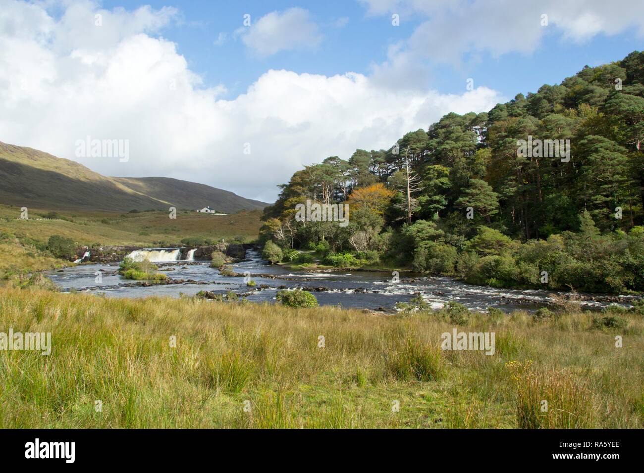 Leenane