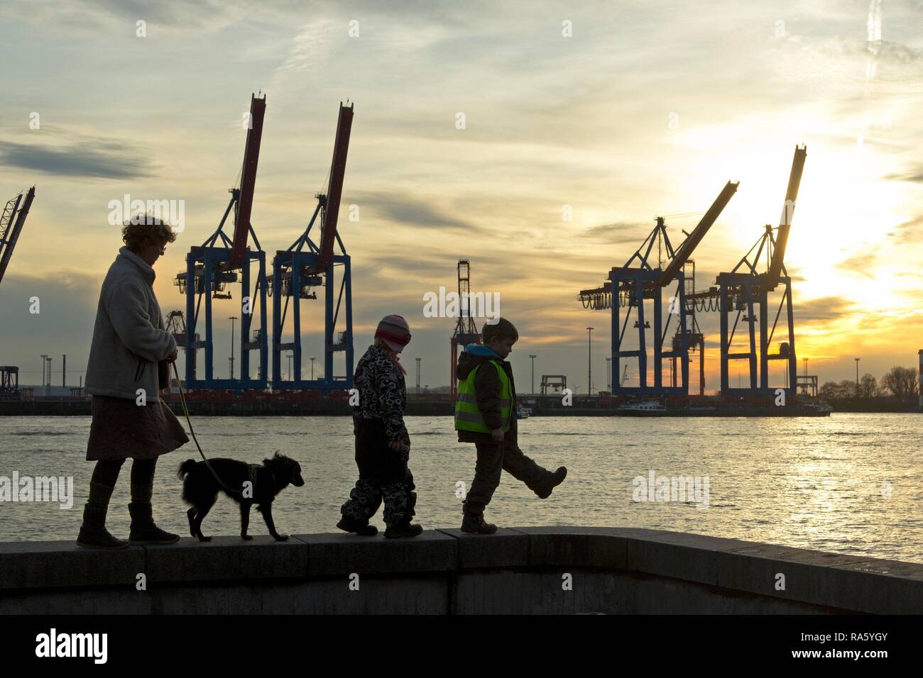 Woman with a dog and two children walking along a wall in front of gantry cranes, Container Terminal Burchardkai, Hamburg-Port Stock Photo