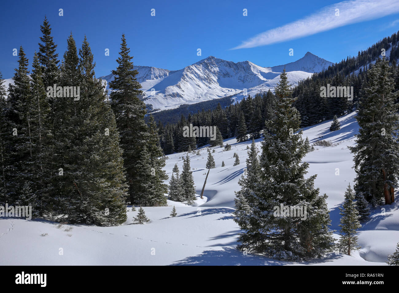 Colorado Rocky Mountain Winter Landscape fresh snow and pine trees on a sunny day at Colorado and the Ten Mile Range Stock Photo - Alamy