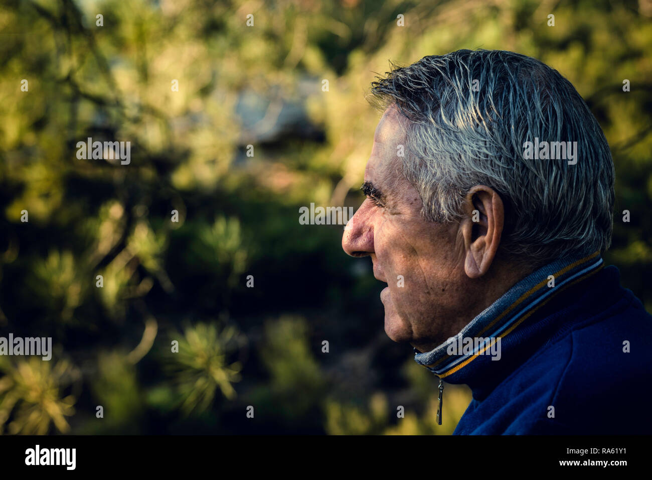 Attractive senior man with gray hair looking in foreground with vegetation background Stock Photo