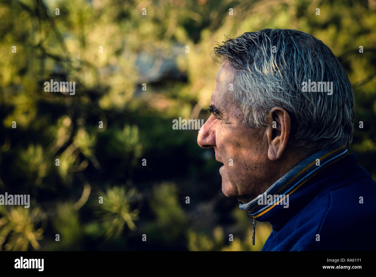 Old man with grey hair hi-res stock photography and images - Alamy