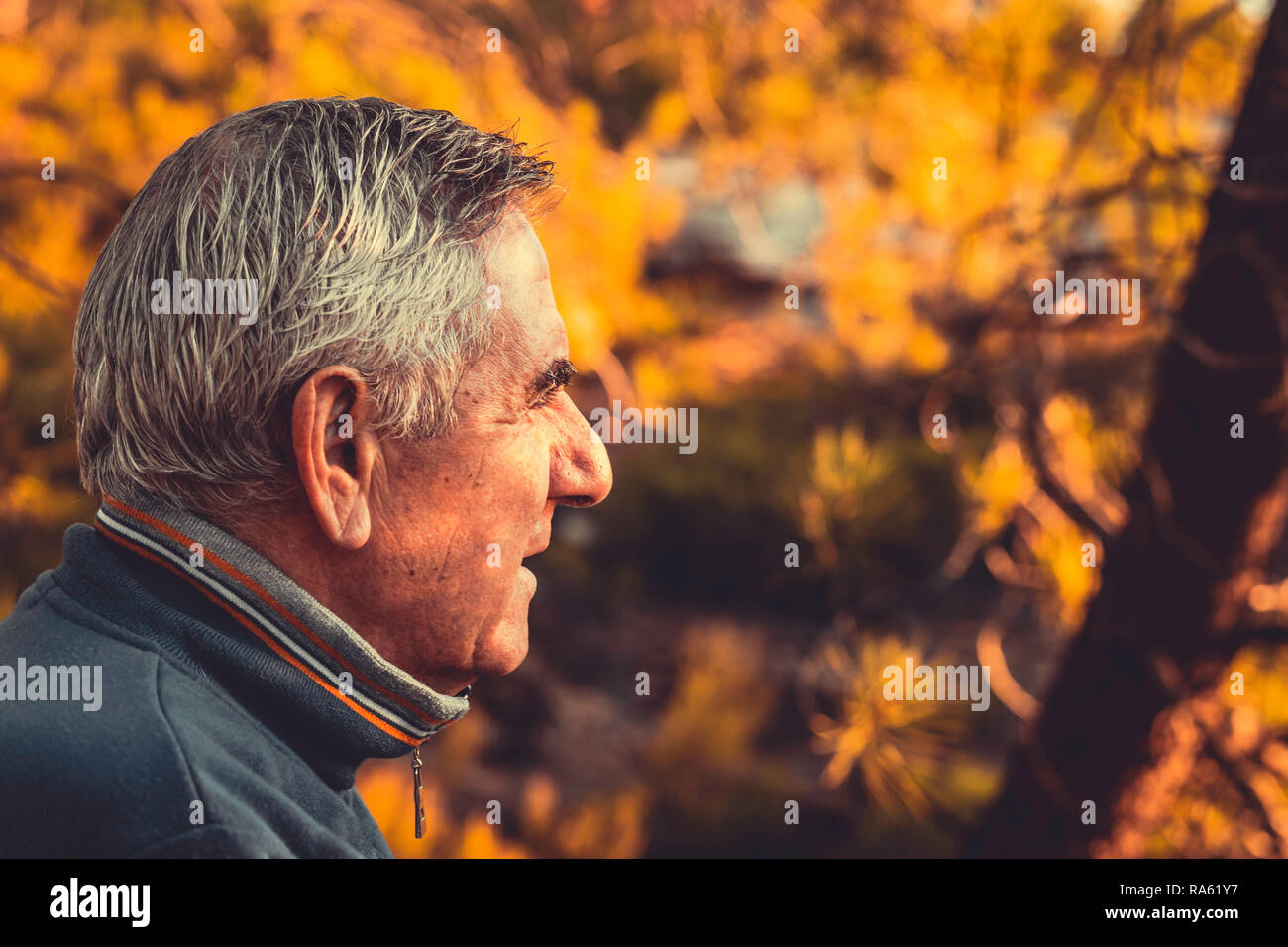 Senior man with gray hair in foreground on autumnal background Stock Photo