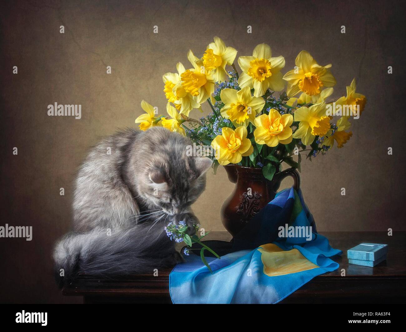 Still life with bouquet of yellow daffodils and pretty young kitty ...