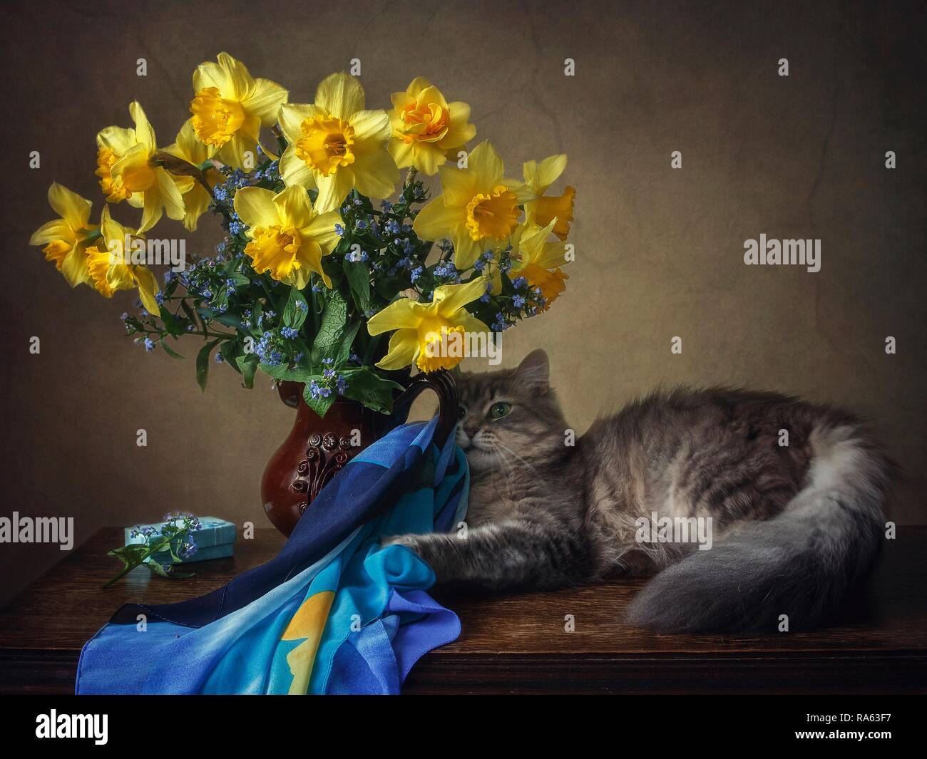 Still life with bouquet of yellow daffodils and pretty young kitty ...