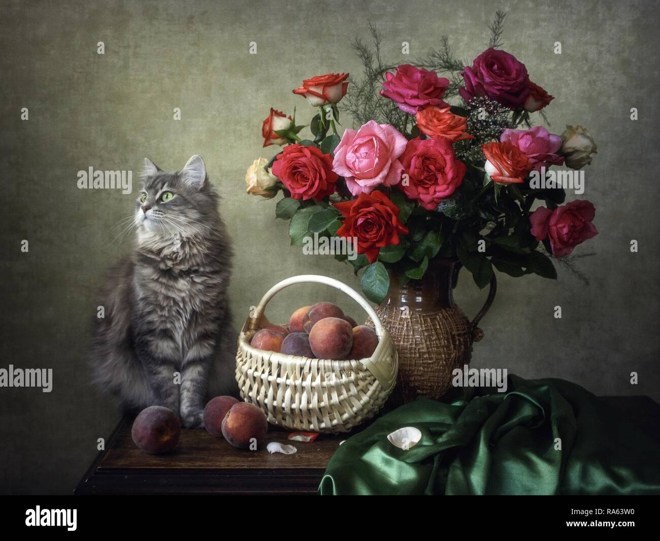 Still life with bouquet of roses and pretty young kitty Stock Photo - Alamy