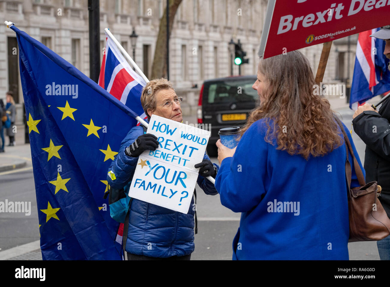 London, UK. 2nd January 2019 Anti Brexit demonstrators outside Downing Street, London, UK. Credit Ian Davidson/Alamy Live News Stock Photo