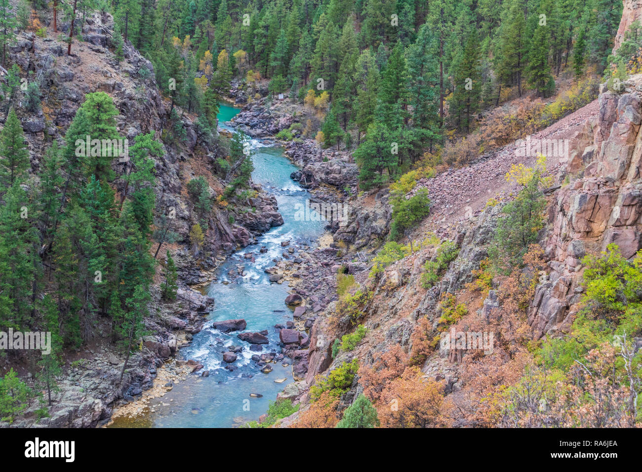 Animas River seen from Durango to Silverton Narrow Gauge Railroad. Train ride from Durango to Silverton is famous tourist attraction. Stock Photo