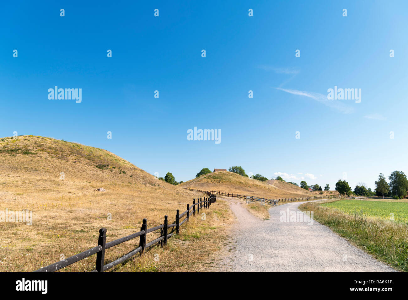 The historic royal burial mounds at Gamla Uppsala, Uppsala, Uppland, Sweden Stock Photo