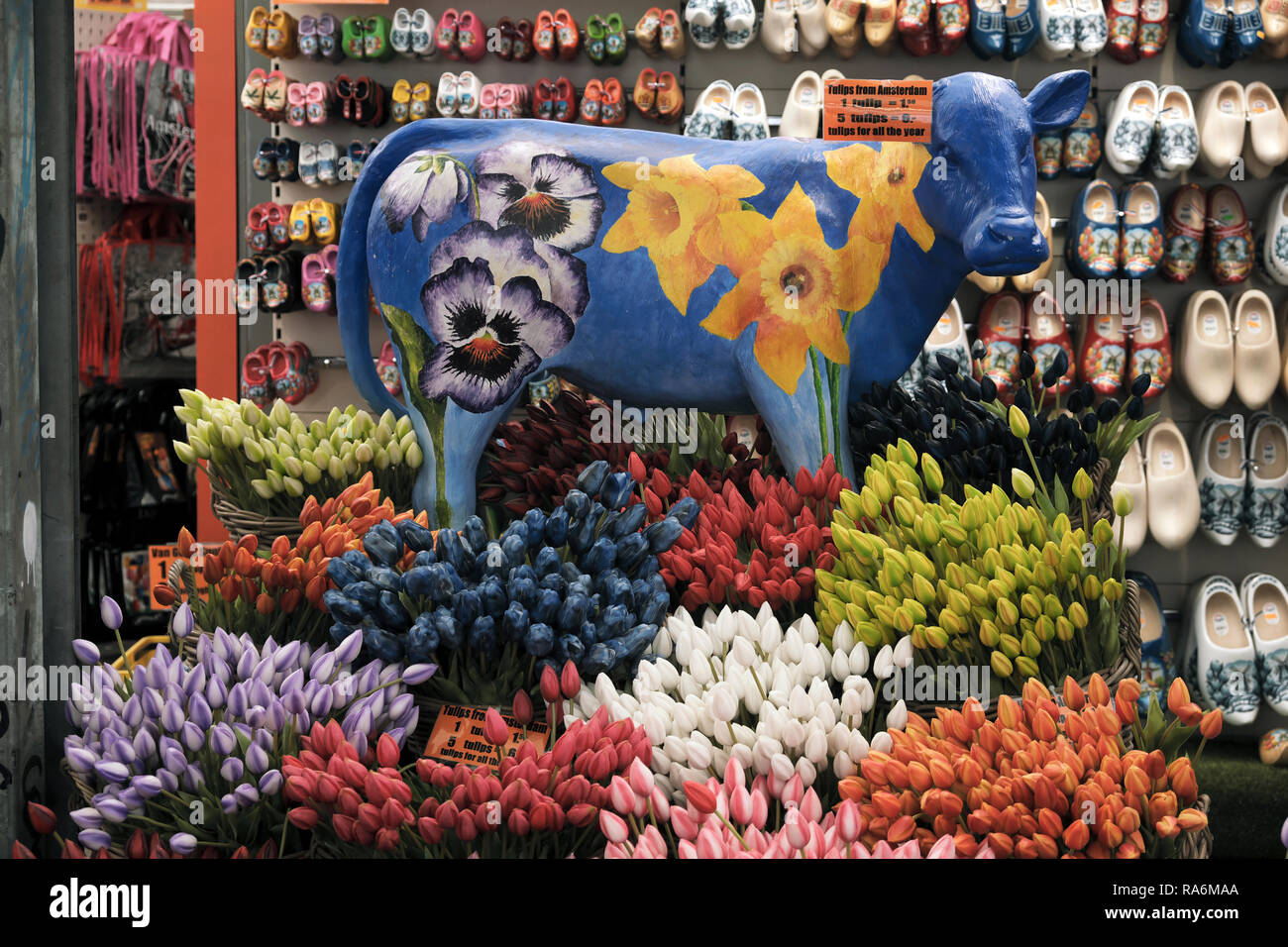 Souvenir store in Amsterdam with traditional symbols of Holland. A cow, Tulips and clogs Stock Photo