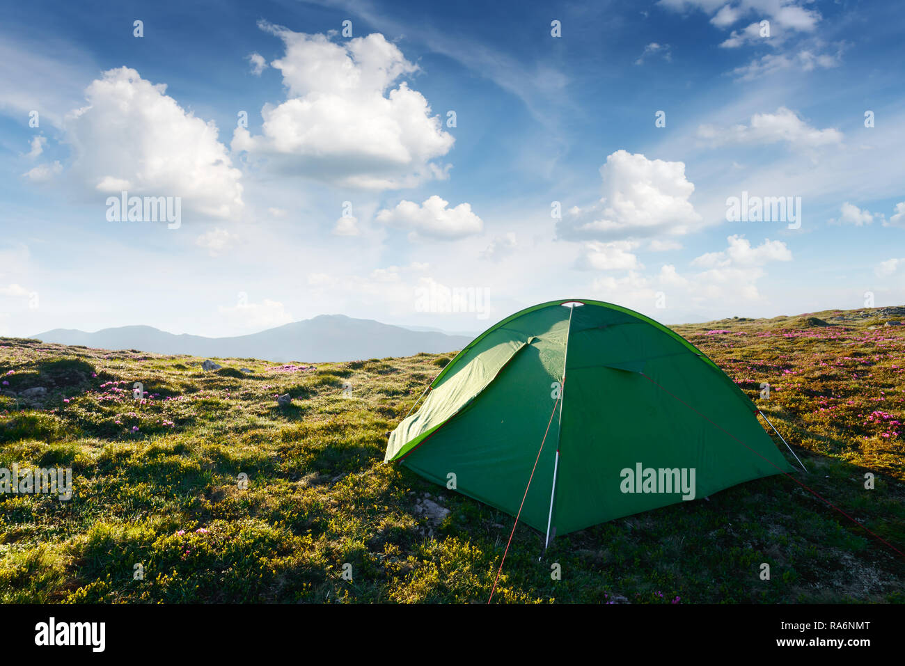 Picturesque scene with green tent and blue sky on spring mountains. Landscape photography Stock Photo