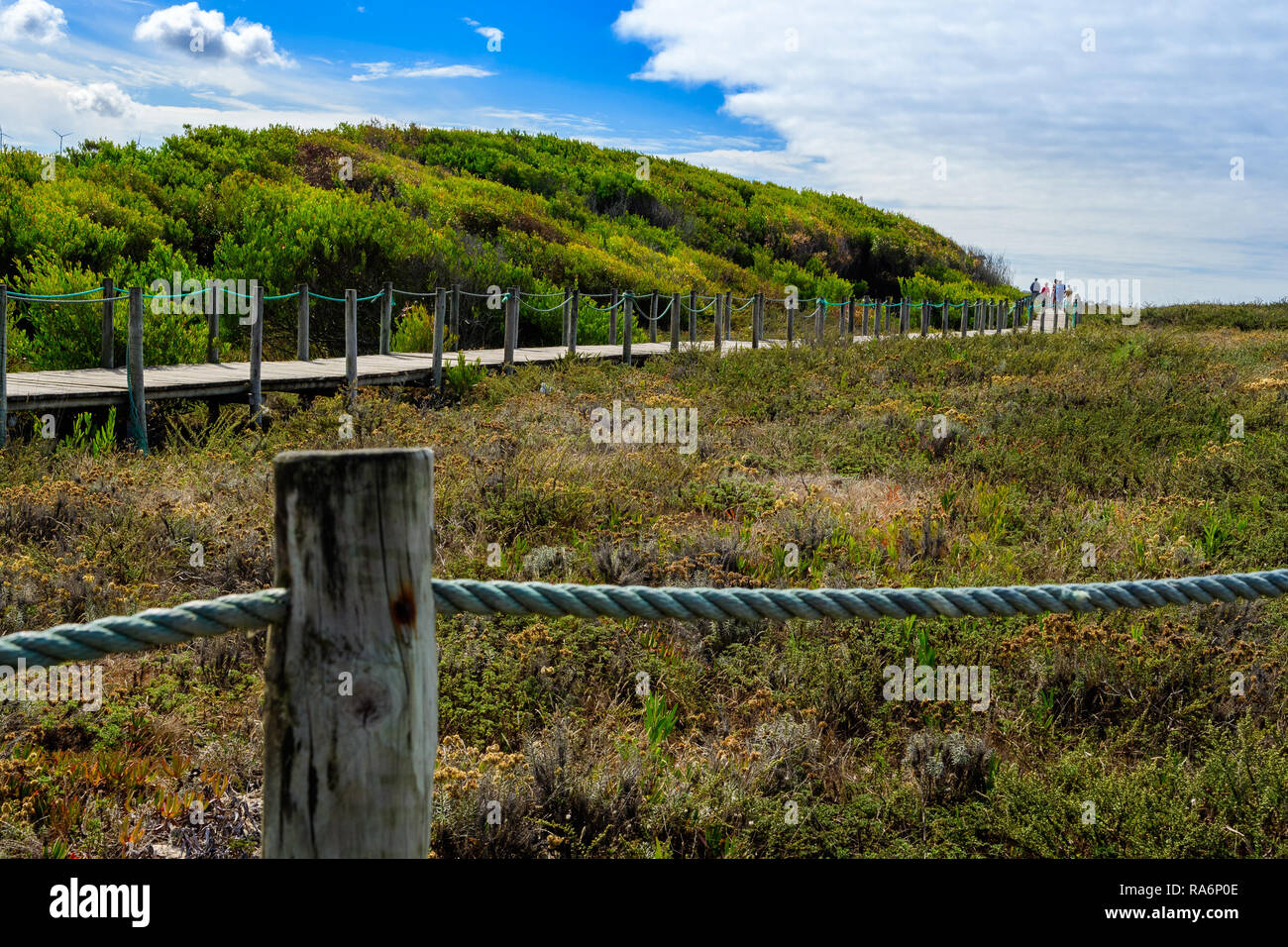 Vila Praia de Ancora, Portugal - September 17, 2017 : Protection of the dune cord of the coast of Caminha Vila Praia de Ancora, Portugal Stock Photo