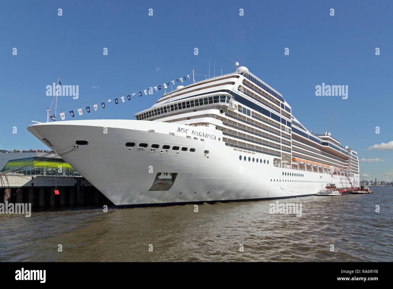 Cruise ship MSC Magnifica, Port of Hamburg, Hamburg, Germany Stock Photo