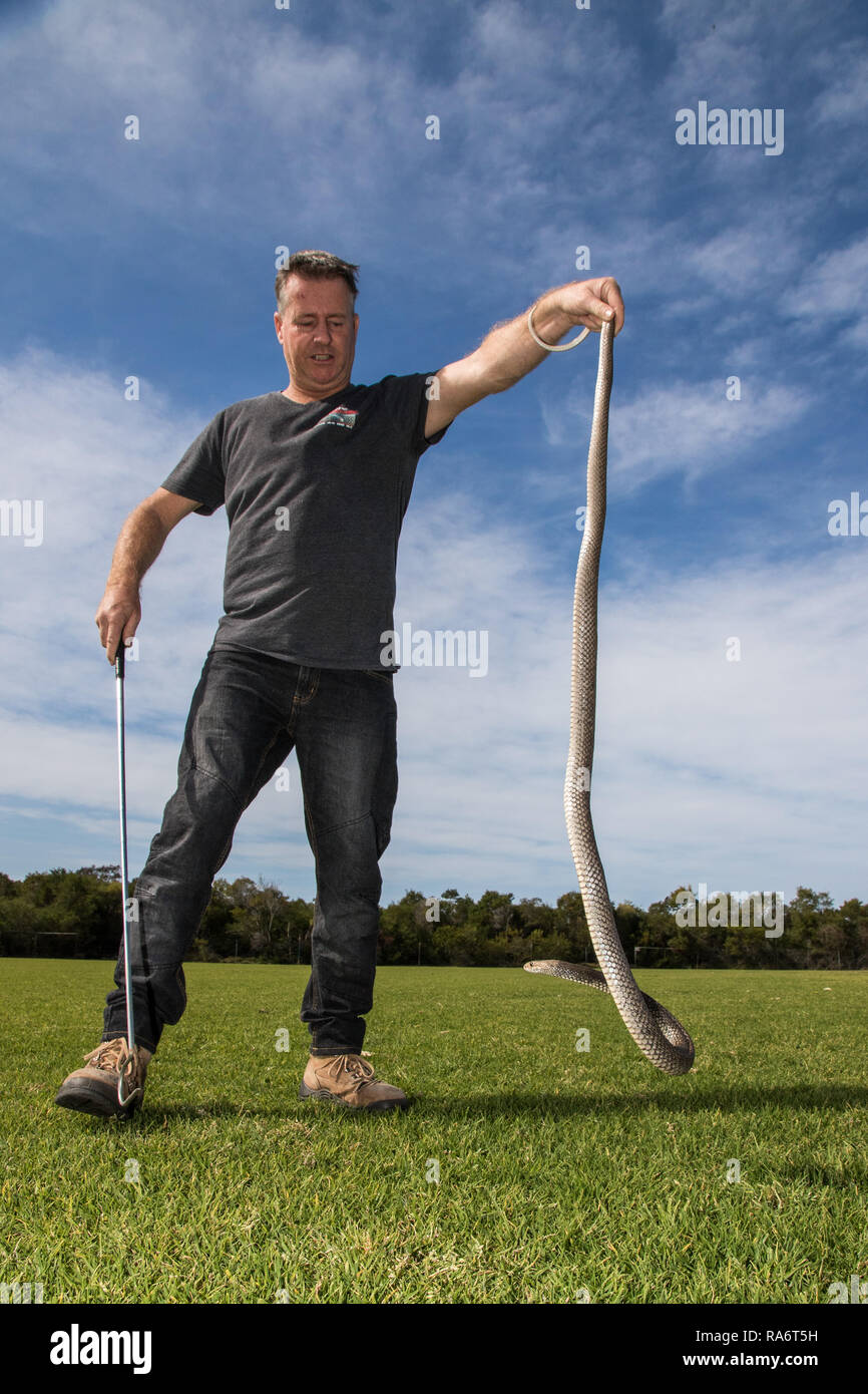 The snake catcher hires stock photography and images Alamy