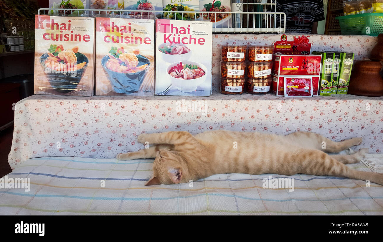 A local cat resting on the table of a market stall in Khoa Lak