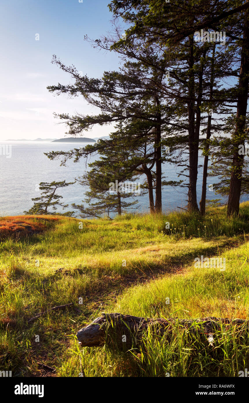 Trail along grassy shoreline, Jones Island Marine State Park, San Juan Islands, Washington State, USA Stock Photo