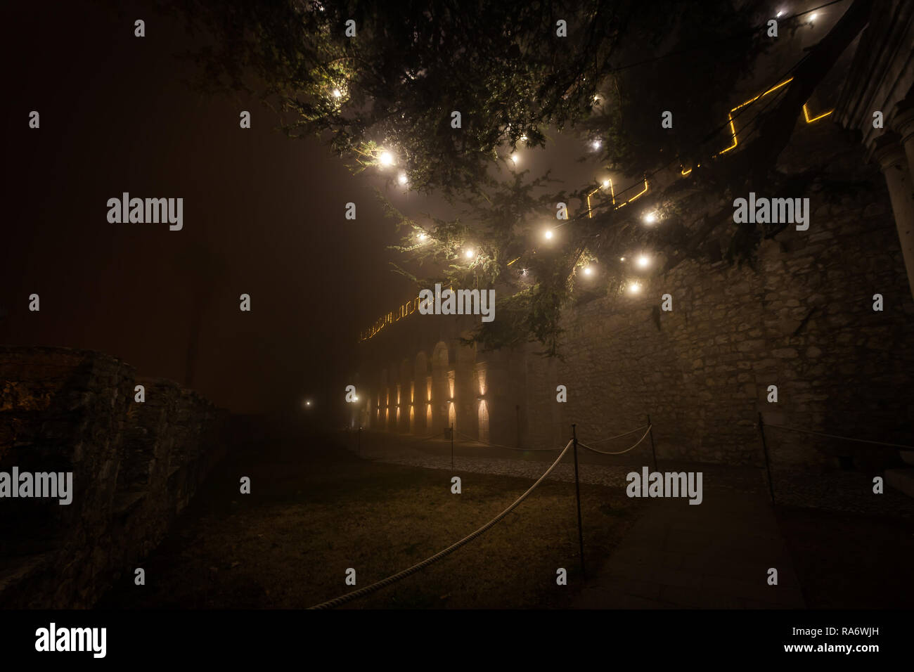 Branches of the largest Christmas tree in Europe immersed in the mist