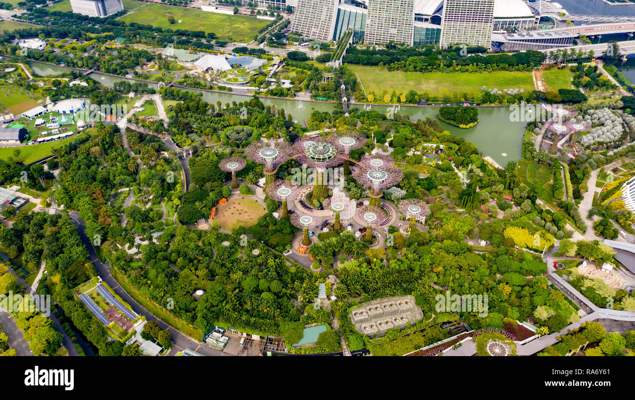 Supertree Grove, Gardens by the Bay, Singapore Stock Photo