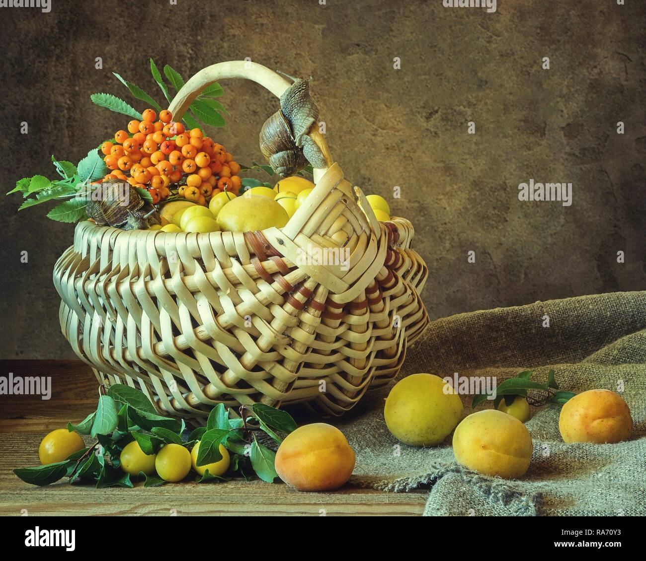 Still life with fruits Stock Photo