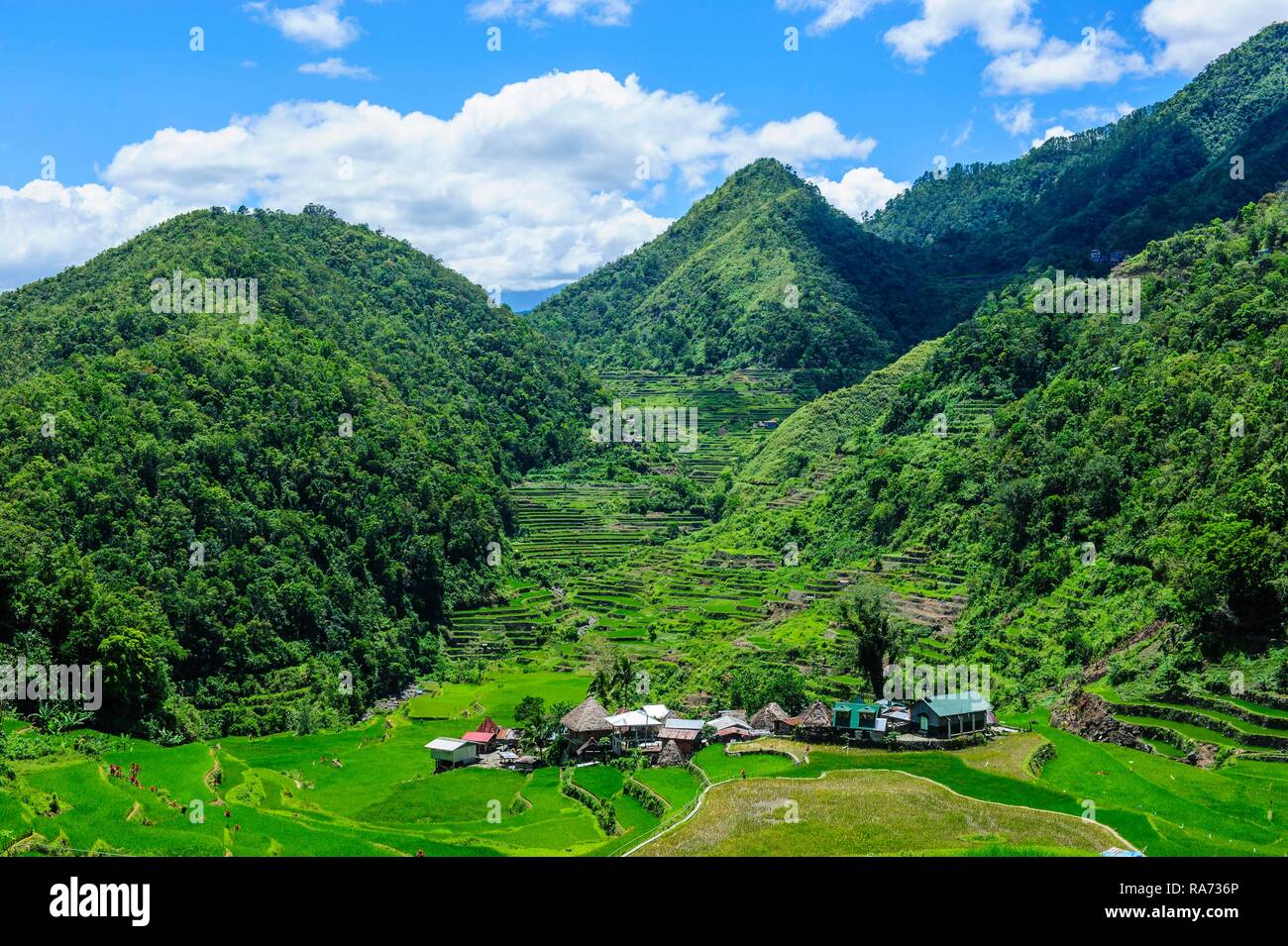 Bangaan in the rice terraces of Banaue, Northern Luzon, Philippines Stock Photo