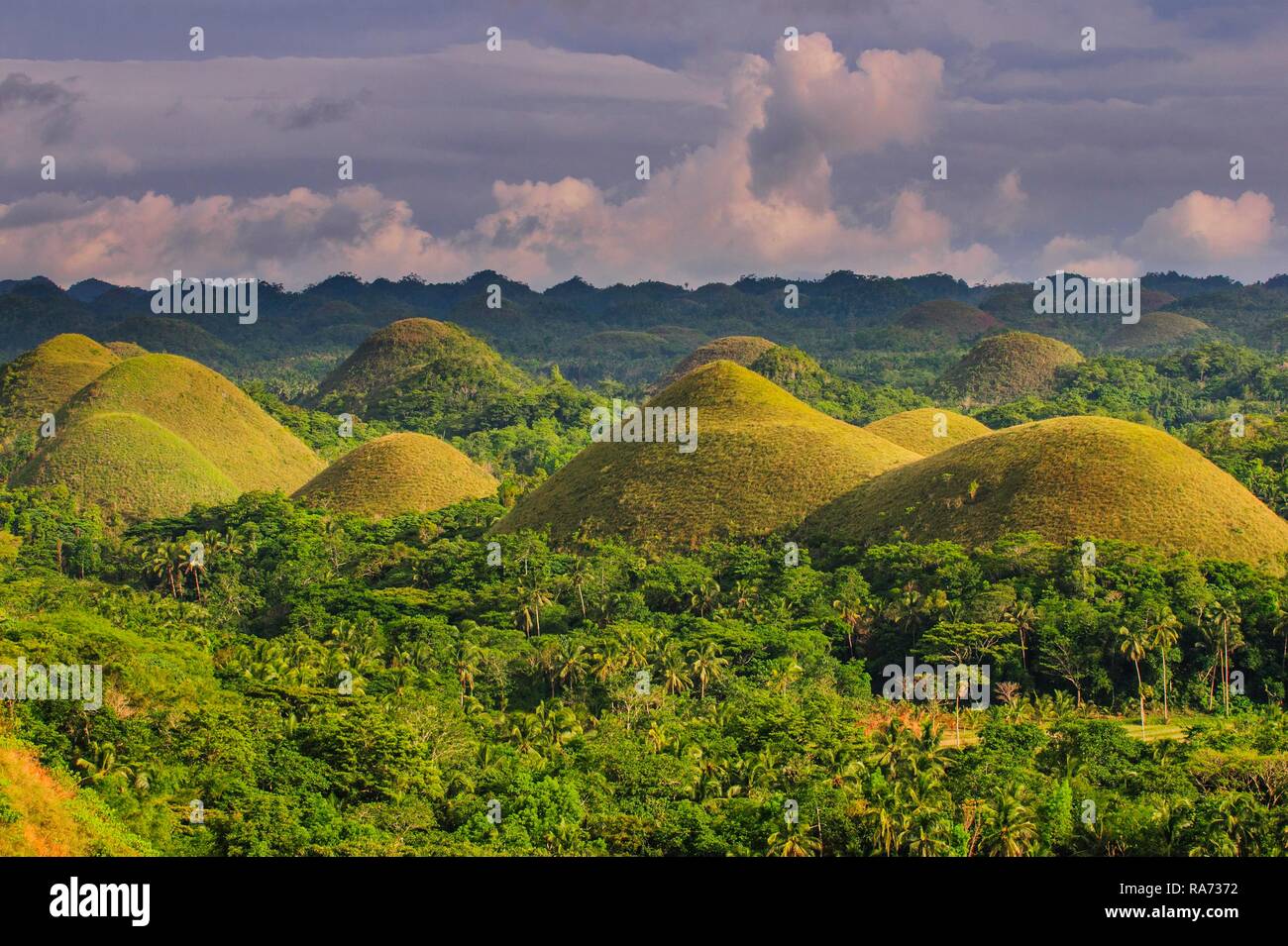 Chocolate Hills, Bohol, Philippines Stock Photo