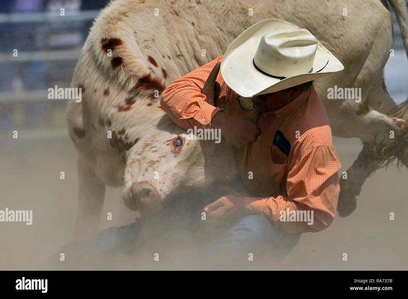 Grabbing the bull by the horns hi-res stock photography and images - Alamy