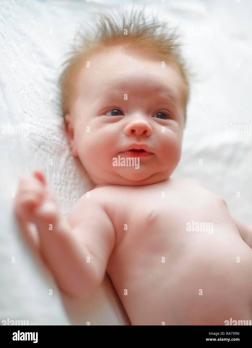 Infant portrait hi res stock photography and images Alamy