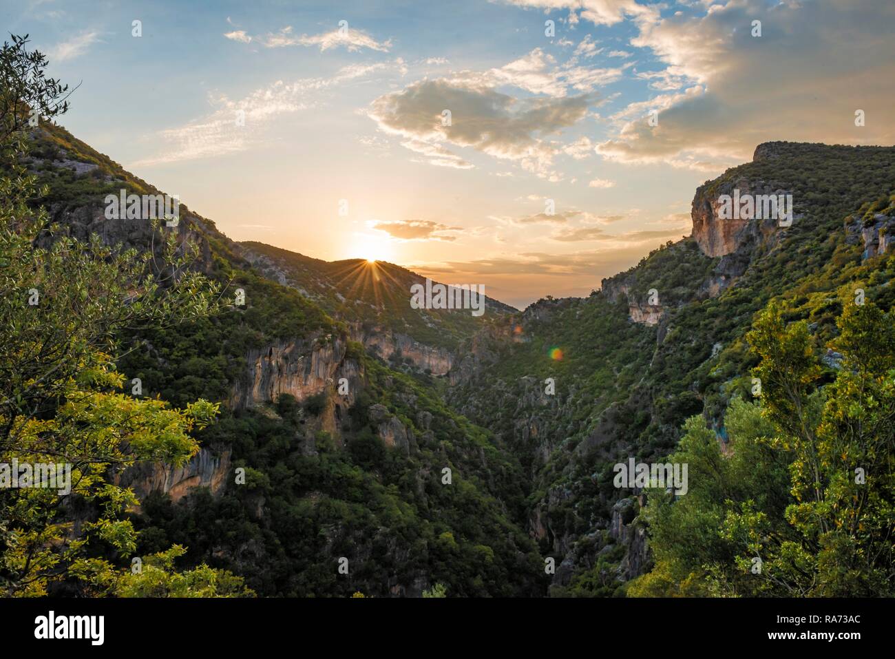 Wooded slopes, The Green Gorge, Sunset, Garganta Verde, Sierra de Cádiz, Cádiz, Spain Stock Photo