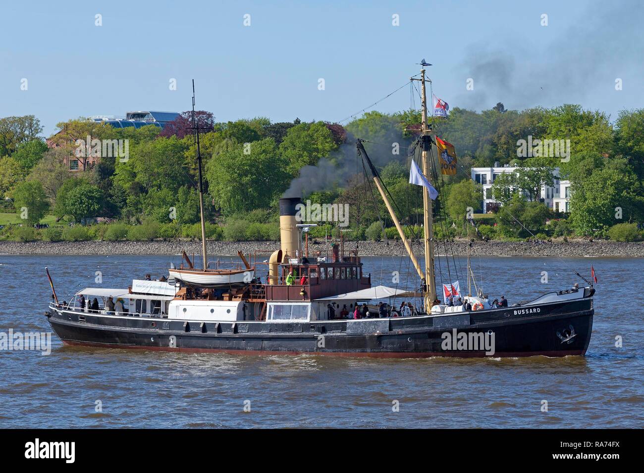 Traditional steamboat Bussard, 826. port birthday, Finkenwerder, Hamburg, Germany Stock Photo
