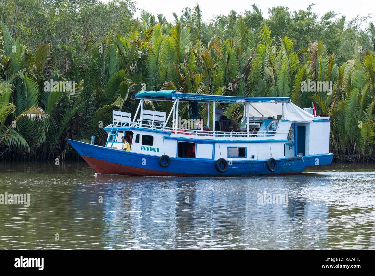 Boat, also Klotok on river Sungai Sekonyer, Tanjung Puting National Park, Central Kalimantan, Borneo, Indonesia Stock Photo