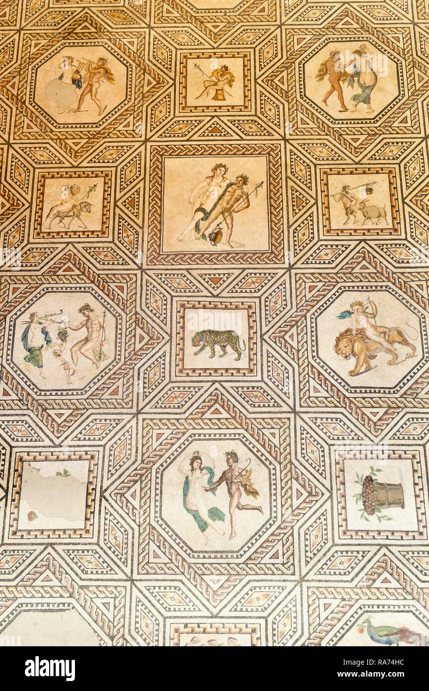 Roman Floor Mosaic, Dionysus Mosaic, Roman-Germanic Museum, Cologne, North Rhine-Westphalia, Germany Stock Photo