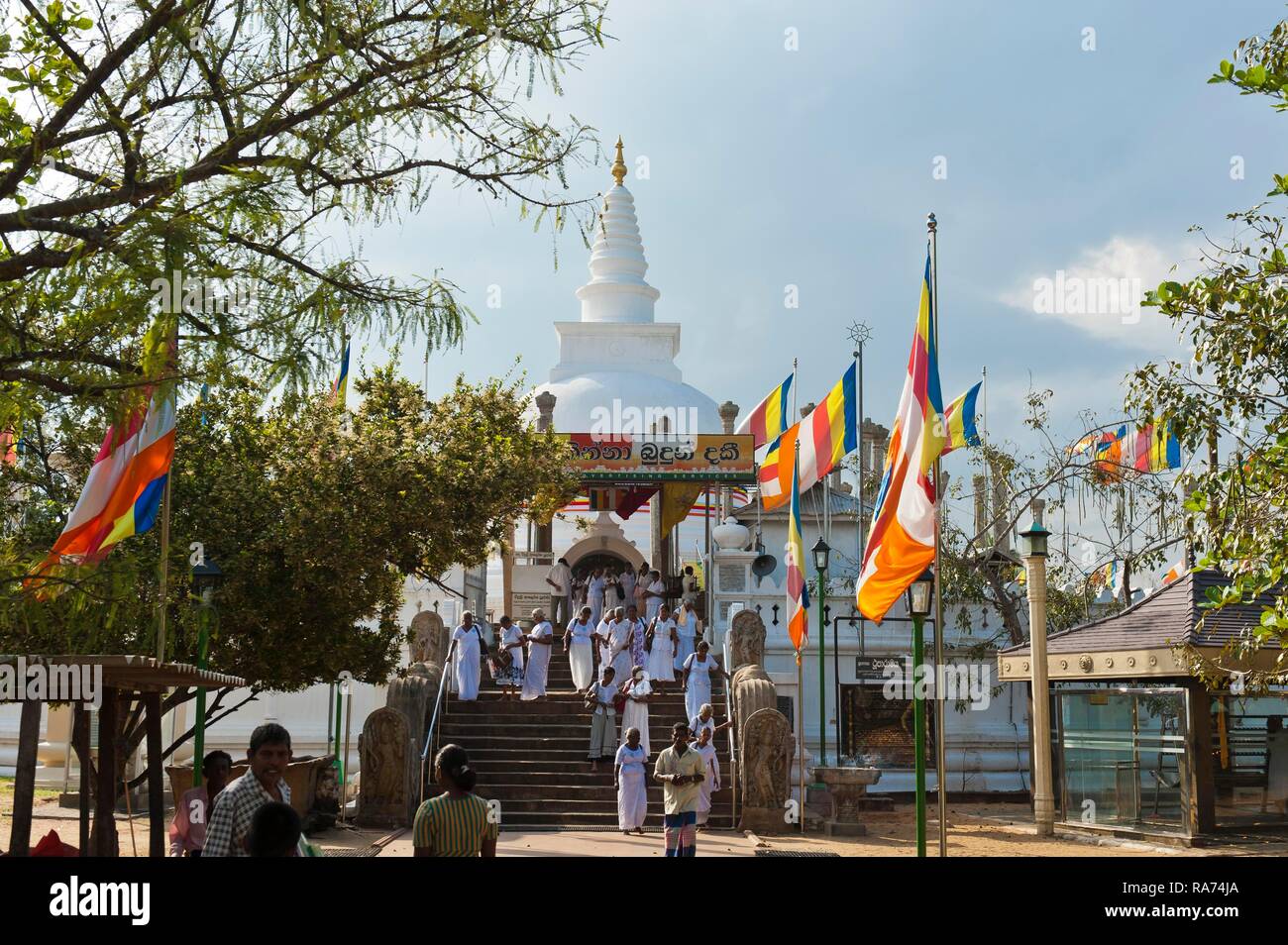 Buddhist believers in white robes, colorful Buddhist flags, temple Jaya Sri Maha Bodhi, Sri Mahabodi, Anuradhapura Stock Photo