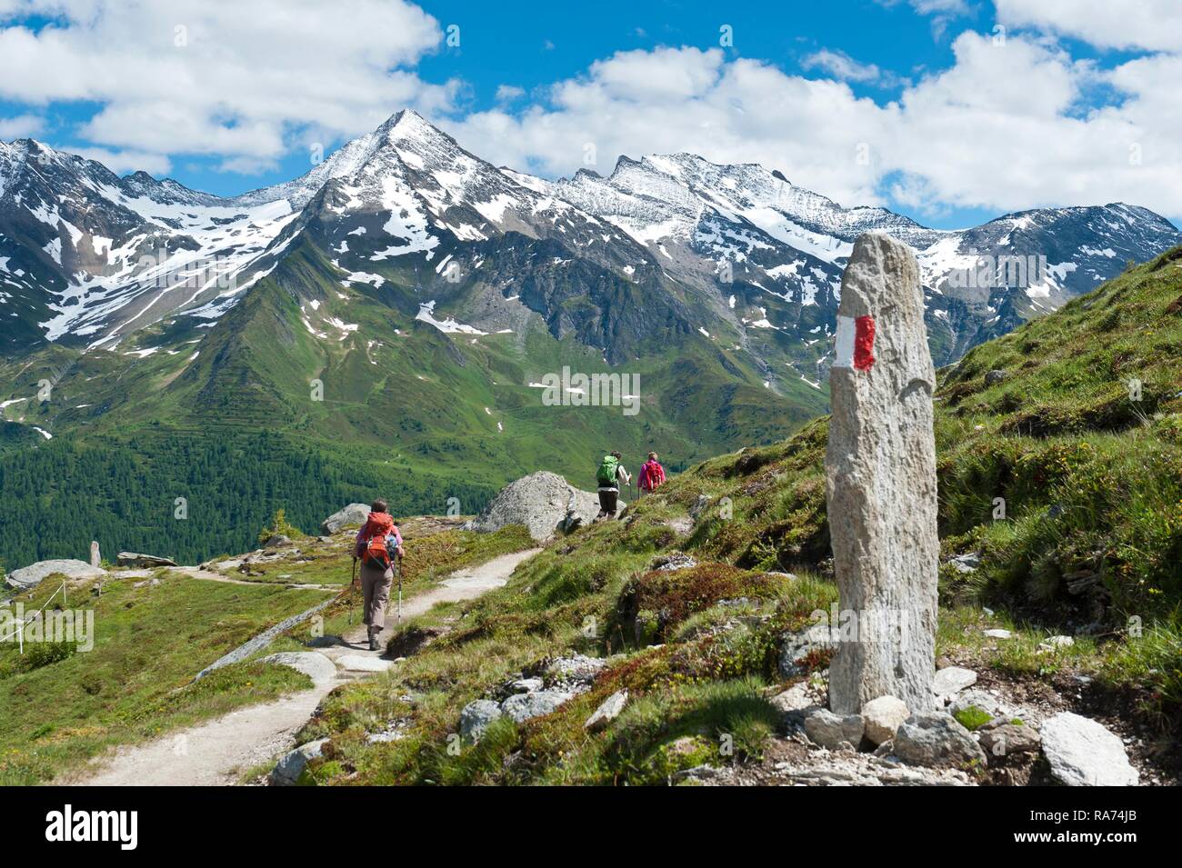 Three hikers on hiking trail, red and white markings on stone, snow-covered mountains, near the Waldner Alm, Kasern, Casere Stock Photo