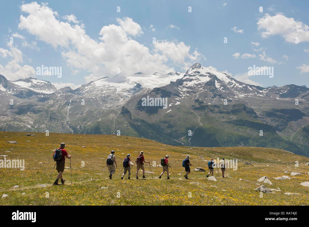 Hikers hike one after the other on a hiking trail over a meadow, near Kofler lakes, view of Schneebigwer Nock mountain (3358 m) Stock Photo