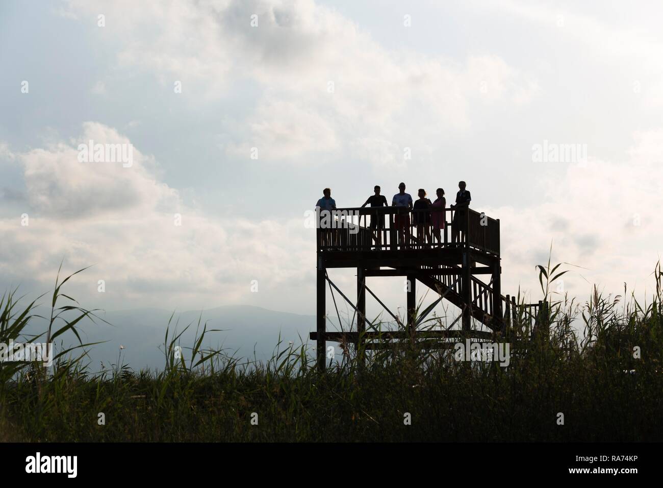 Visitors at a viewing platform in the evening, Ebro Delta Nature Reserve, Tarragona province, Catalonia, Spain Stock Photo
