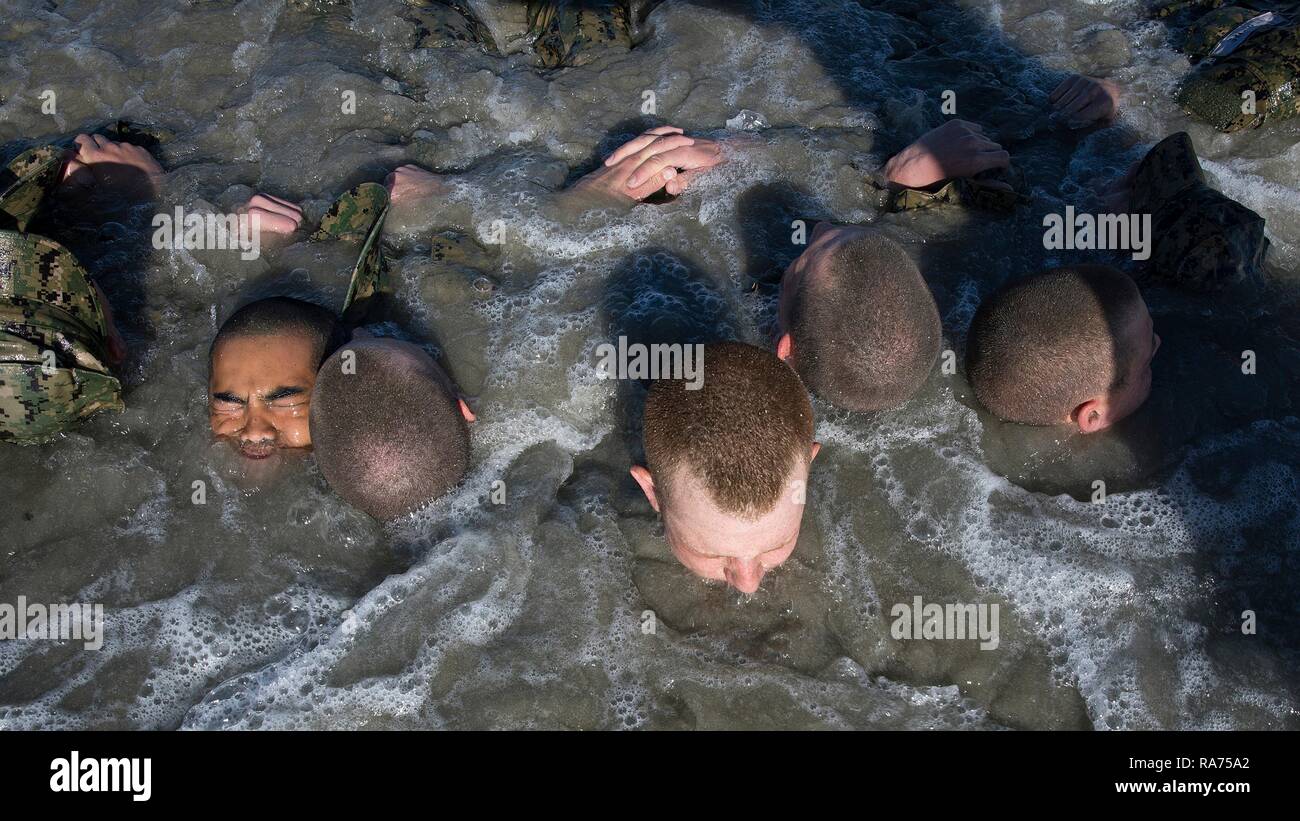 Basic Underwater Demolition Seal Bud S High Resolution Stock