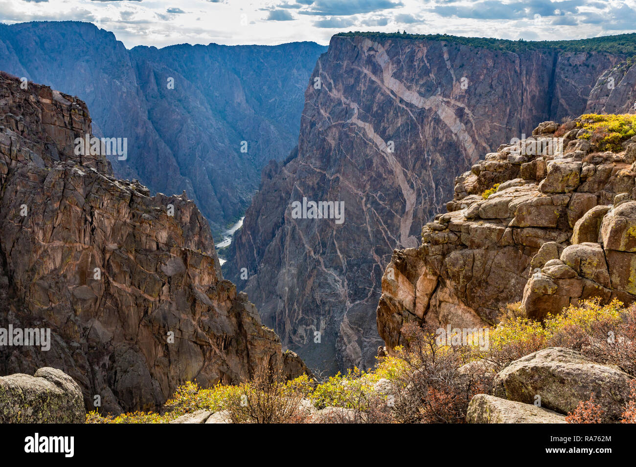 Colorful Autumn groundcover on the rim of the Black Canyon of the Gunnison, Colorado. Stock Photo