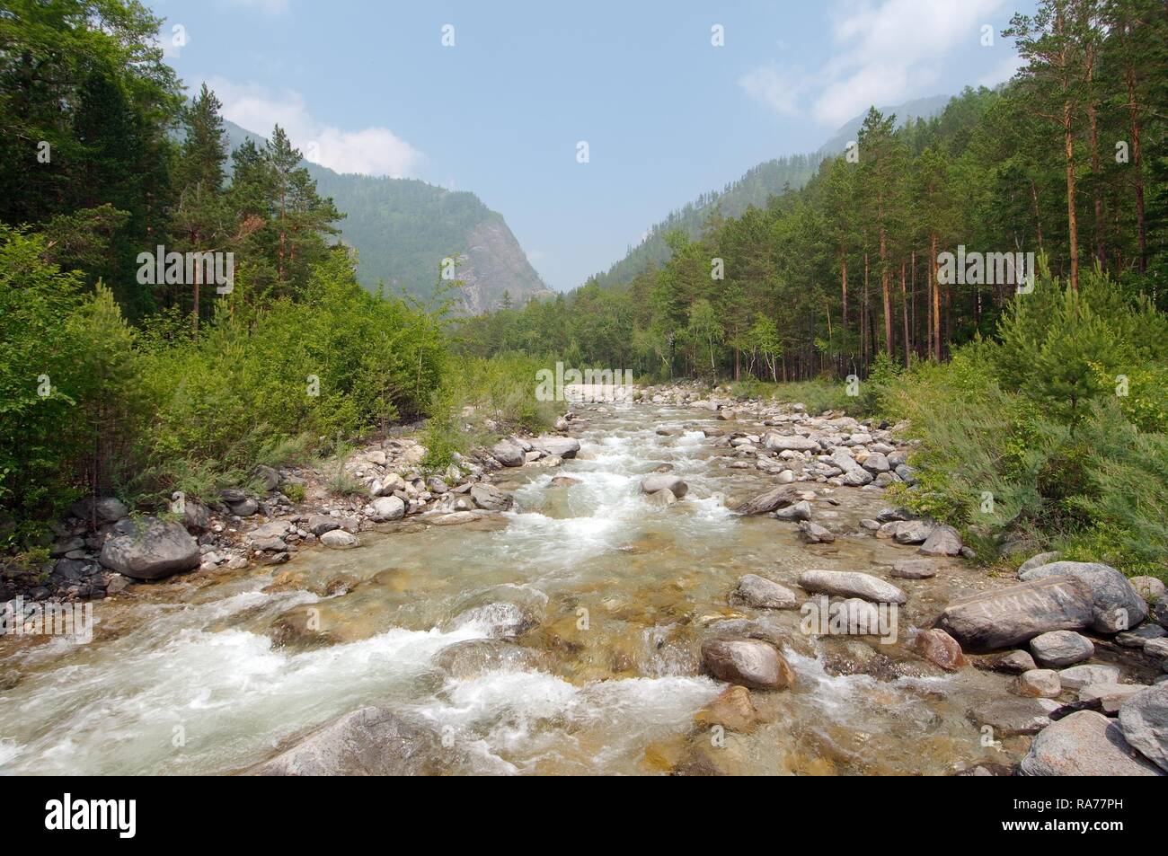 Stream through Sayan Mountains, Arshan, Tunkinsky District, Republic of Buryatia, Siberia, Russian Federation, Eurasia Stock Photo