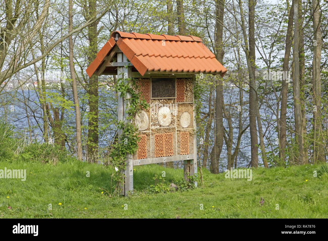 Insect hotel, Plön, Schleswig-Holstein, Germany Stock Photo