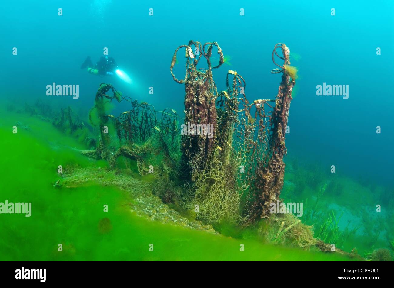 Lake Baikal Pollution