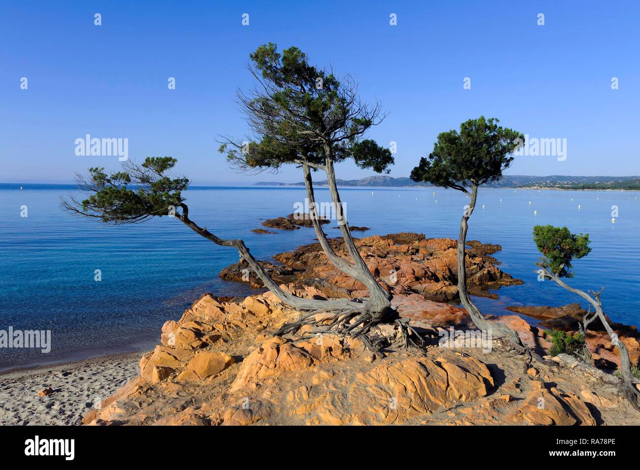 Plage De Palombaggia Beach Near Porto Vecchio Corsica