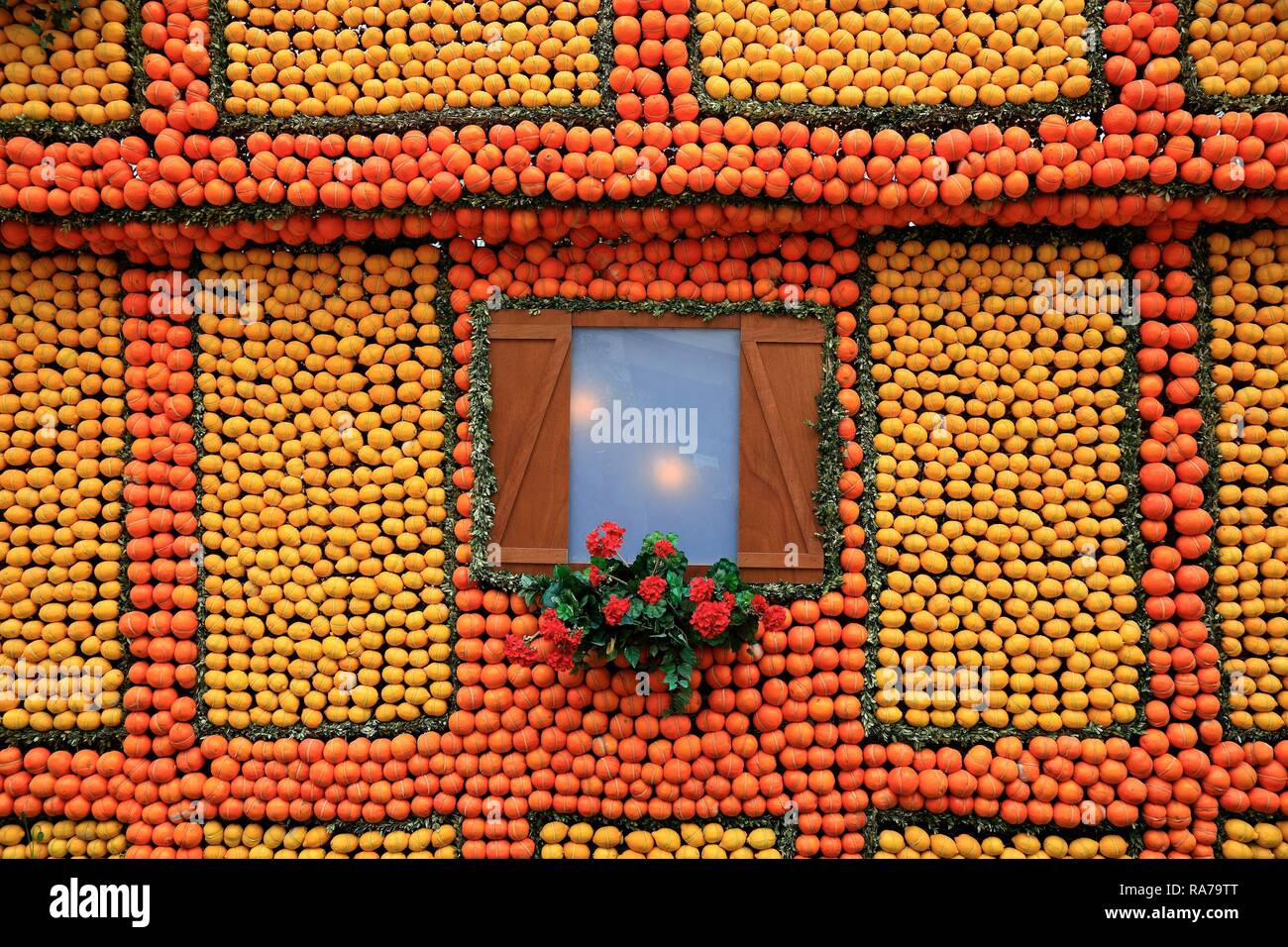 Replica of a half-timbered house made of oranges and lemons, Biovès Gardens, Lemon Festival, Fete du Citron, Menton, France Stock Photo