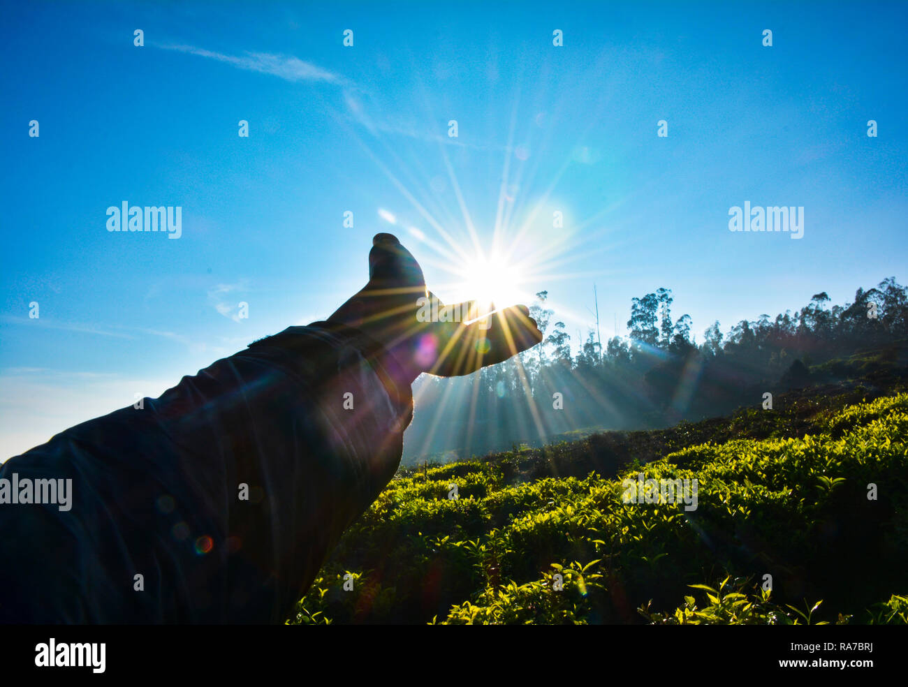 Renewable energy of the sun Stock Photo Alamy